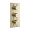 Crosswater MPRO Triple Concealed Thermostatic Shower Valve - Brushed Brass - PRO2000RF+ Large Image