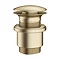 Crosswater MPRO Unslotted Click Clack Basin Waste - Brushed Brass - PRO0101F Large Image