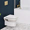 Crosswater MyHome Wall Hung Toilet Set – Brushed Brass Flush Plate