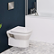 Crosswater MyHome Wall Hung Toilet Set – Stainless Steel Effect Flush Plate