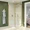 Crosswater Optix 10 Brushed Brass Side Panel for Pivot Door Profile Large Image