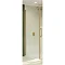 Crosswater Optix 10 Brushed Brass Side Panel for Pivot Door Large Image