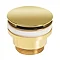 Crosswater Universal Basin Click Clack Waste - Unlacquered Brass - BSW0260Q Large Image