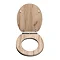 Croydex Corella Grey Oak Effect Flexi-Fix Toilet Seat with Soft Close and Quick Release - WL605231H 