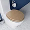Croydex Flexi-Fix Dorney Sandstone Effect Anti-Bacterial Toilet Seat - WL601915H Large Image