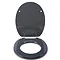 Croydex Flexi-Fix Dove Granite Effect Anti-Bacterial Toilet Seat - WL601931H  Profile Large Image