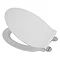 Croydex Flexi-Fix Michigan White Anti-Bacterial Toilet Seat with Soft Close and Quick Release - WL60