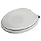 Croydex Flexi-Fix White Quartz Effect Anti-Bacterial Toilet Seat - WL601822H  Standard Large Image