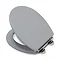 Croydex Lugano Grey Flexi-Fix Toilet Seat with Soft Close and Quick Release - WL601031H Large Image