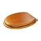 Croydex Sit Tight Douglas Antique Pine Toilet Seat with Brass Hinges - WL530750H Feature Large Image