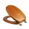 Croydex Sit Tight Douglas Antique Pine Toilet Seat with Brass Hinges - WL530750H Large Image