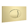 Cruze Dual Flush Concealed WC Cistern incl. Large Brushed Brass Push Button Plate  Profile Large Ima