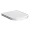 Cruze Soft Close Toilet Seat Large Image