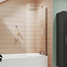 Curved P-Shaped Bath Screen