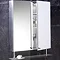 Hudson Reed Dakota Stainless Steel Double Mirror Cabinet - LQ316  Profile Large Image