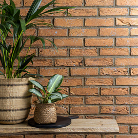 Dalby 15-20mm Brick Slips - Caramel