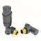 Delta Angled TRV Anthracite Thermostatic Radiator Valves Profile Large Image