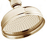 Deva Traditional Shower Kit with 5" Shower Rose - Gold Profile Large Image