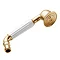 Deva Victorian Single Function Shower Handset - Gold - HANS02/G Large Image