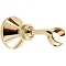 Deva Wall Bracket for Shower Heads - Gold - RLE19/501 Large Image
