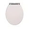 Devon Carlton Cashmere Quick Release Toilet Seat with Chrome Hinges Profile Large Image