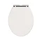 Devon Carlton Plain Ivory Quick Release Toilet Seat with Chrome Hinges Profile Large Image