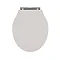 Devon Ryther Cashmere Quick Release Toilet Seat with Chrome Hinges Profile Large Image