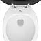 Downton Abbey Carlton Close Coupled Toilet + Soft Close Seat  Profile Large Image