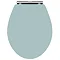 Downton Abbey Carlton Close Coupled Traditional Bathroom Suite - Duck Egg Blue Standard Large Image