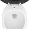 Downton Abbey Carlton Low Level Traditional Bathroom Suite - Charcoal Profile Large Image