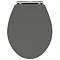 Downton Abbey Carlton Low Level Traditional Bathroom Suite - Charcoal Standard Large Image
