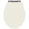 Downton Abbey Carlton Low Level Traditional Bathroom Suite - Ivory Standard Large Image