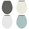 Downton Abbey Carlton Traditional Back To Wall Pan + Soft Close Seat Profile Large Image