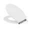 Downton Abbey Carlton Traditional Back To Wall Pan + Soft Close Seat Feature Large Image