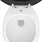 Downton Abbey Ryther Close Coupled Toilet + Soft Close Seat  Profile Large Image