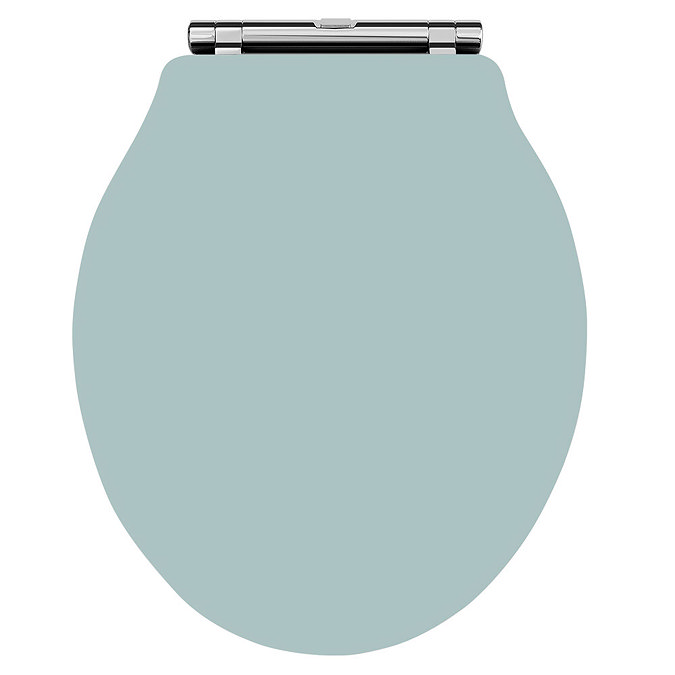 Downton Abbey Ryther Close Coupled Traditional Bathroom Suite - Duck Egg Blue  Standard Large Image