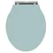 Downton Abbey Ryther Close Coupled Traditional Bathroom Suite - Duck Egg Blue  Standard Large Image