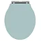 Downton Abbey Ryther Close Coupled Traditional Bathroom Suite - Duck Egg Blue Standard Large Image