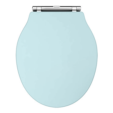 Downton Abbey Ryther Duck Egg Blue Wooden Soft Close Toilet Seat  Profile Large Image