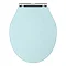 Old London Ryther Duck Egg Blue Wooden Soft Close Toilet Seat Large Image