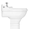 Downton Abbey Ryther Traditional Basin & Pedestal - 500mm Wide Profile Large Image