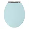 Downton Abbey Traditional 800mm Duck Egg Blue Sink Vanity Unit + High Level Toilet  In Bathroom Larg