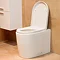 Durab Adam Round Back to Wall Toilet Pan with Soft-Close Seat - TLT-ADAM-BTW Profile Large Image