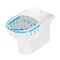 Duravit No.1 570mm Rimless Back to Wall Toilet Pan + Seat  Newest Large Image