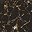 Black & Gold