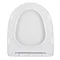 Eclipse Soft Close Toilet Seat  Feature Large Image