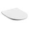 Orion Slimline Toilet Seat Upgrade Large Image