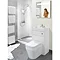 Eco Bathrooms 500 Gloss White Combined Washbasin & WC pan with soft close seat Large Image