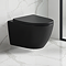 EcoDelux Compact Toilet Frame with Matt Black Tornado Flush Toilet and Matt Black Flush Plate