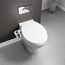 Edmonton Universal Bidet Toilet Seat Attachment  Feature Large Image